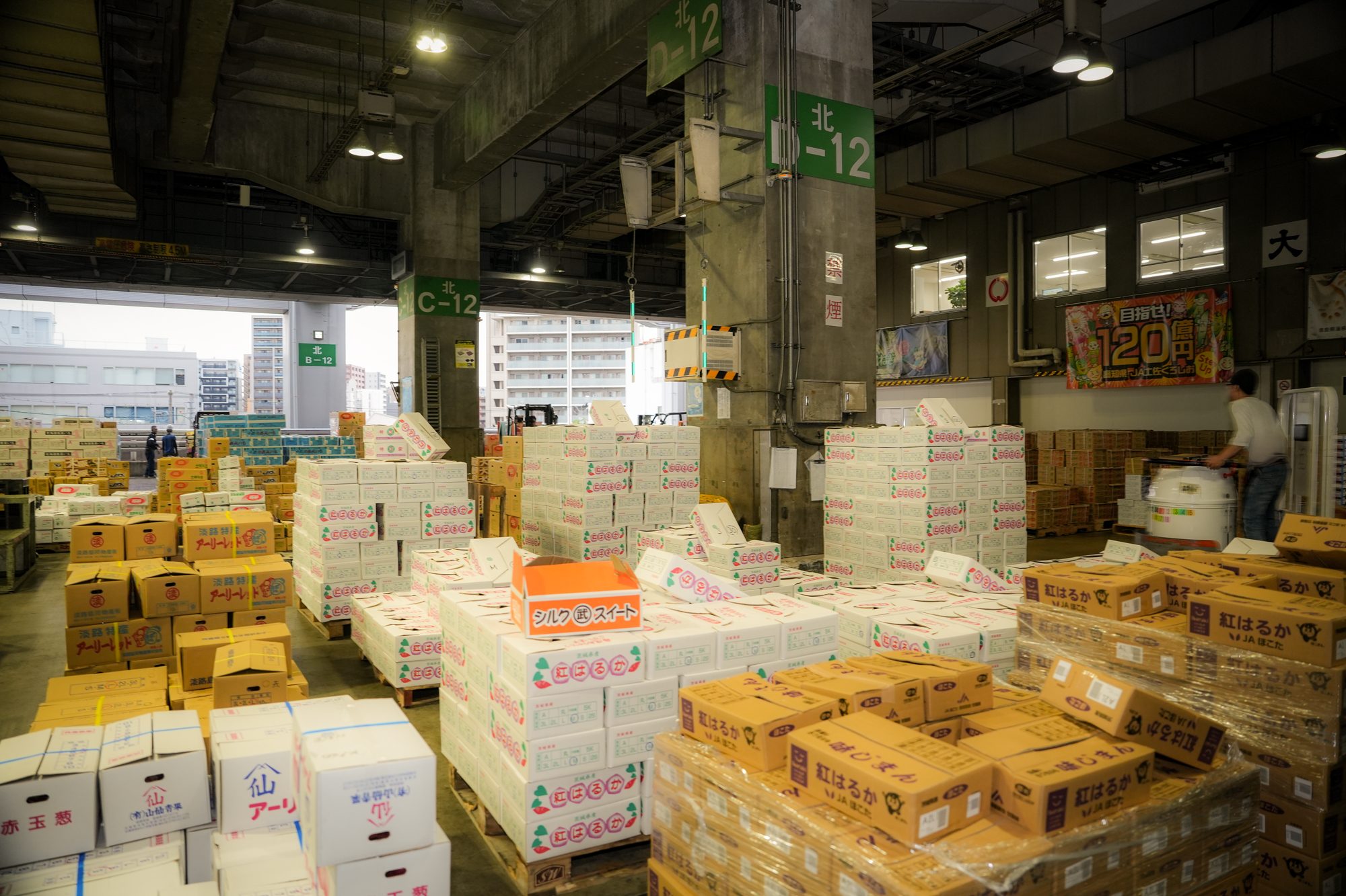 市場で青果を仕分ける竹若の社員。業態に合わせて選別する。