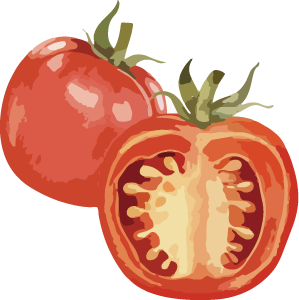 プチトマトのイラスト
